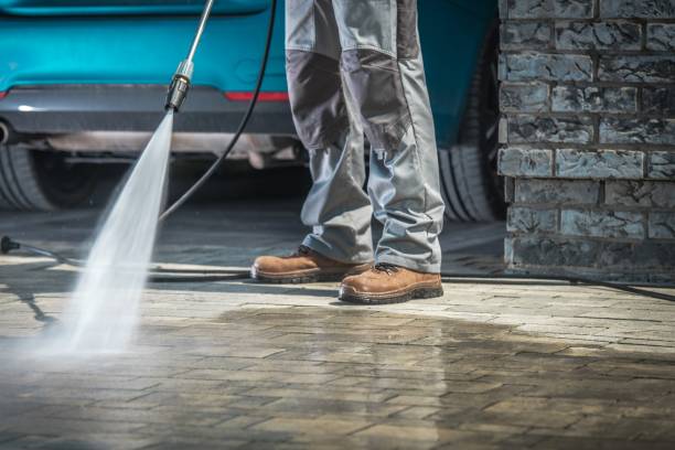 Best Spring Cleaning  in Shrub Oak, NY